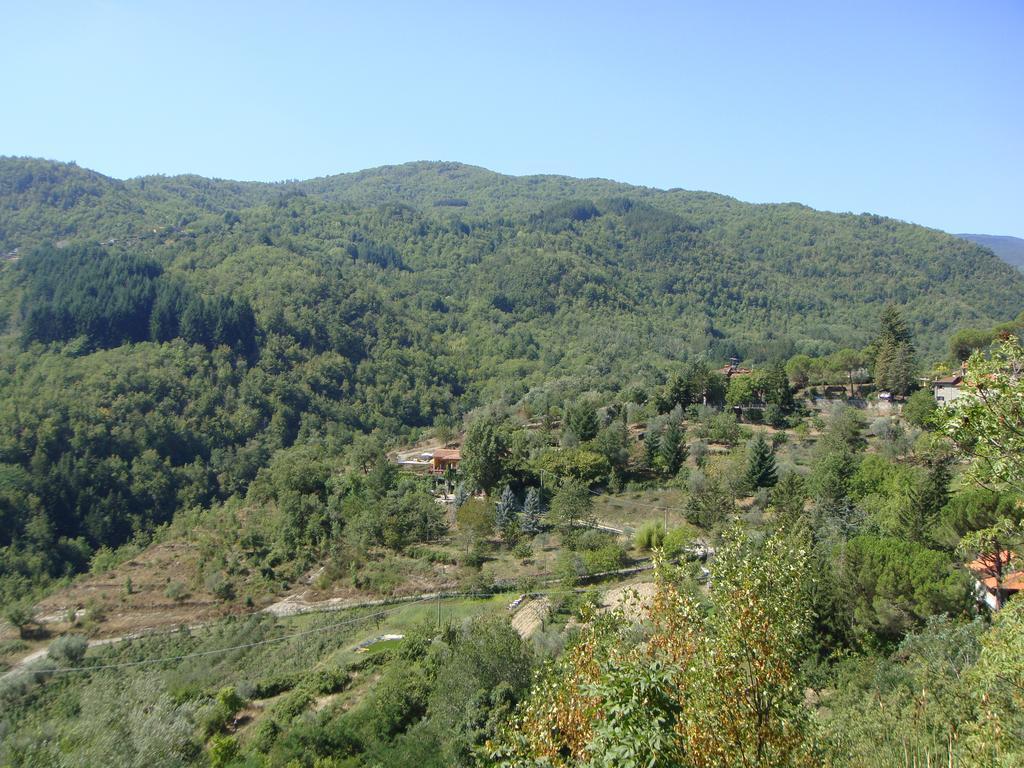 Deimori Lamassa Private Villa With Pool Castel San Niccolò Kültér fotó